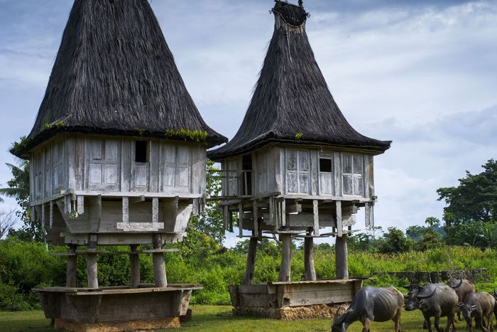 Rumah Adat Timor Leste Wilayah Timor Leste